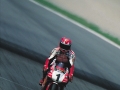 20080128093813_FOGGY_6_LOW_RES