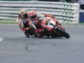 20080128100223_FOGGY_1_LOW_RES